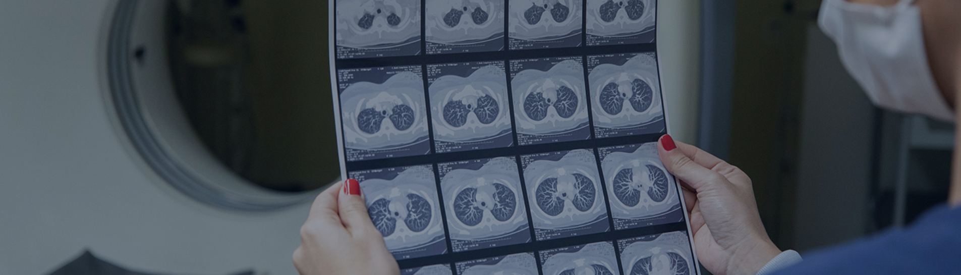 Focalweb Desenvolvimento de Aplicativos e Software